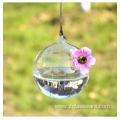 Hanging Glass Terrarium Ball Glass Vase